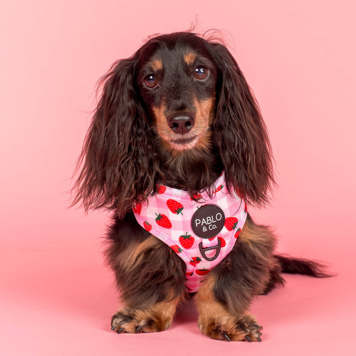 Strawberry Fields: Adjustable Harness