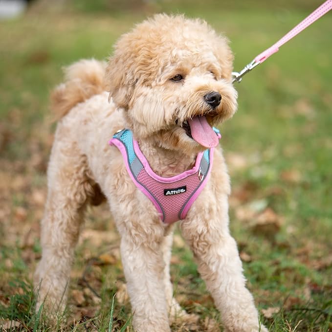 AIITLE Escape Proof Dog Harness