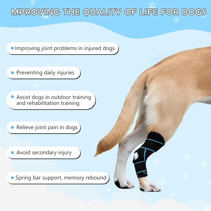 Dog Knee Brace for Back Leg, ACL Support for Large Dogs, Adjustable Dog Leg Brace for Hind Leg Injuries, Canine Joint Wrap for Arthritis Recovery (L)