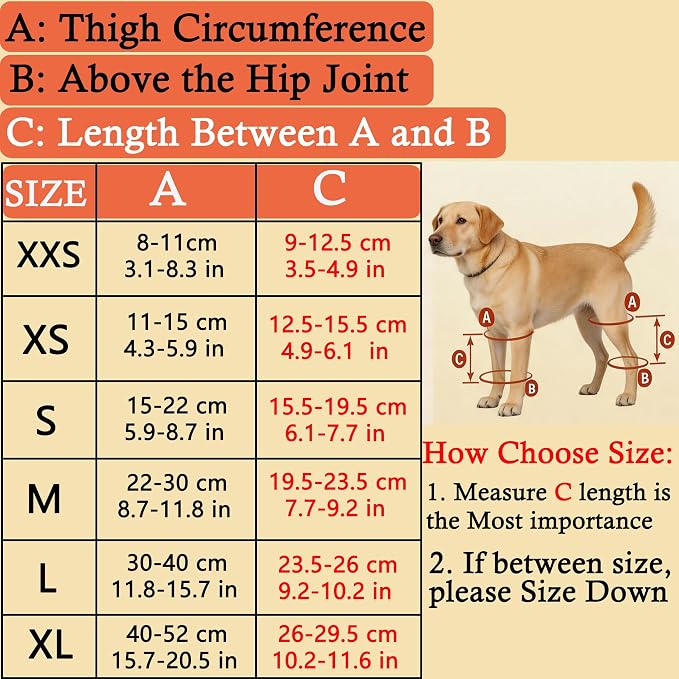 Dog Knee Brace for Leg, Adjustable Dog Braces for Torn ACL Support, Built in Side Stabilizers, Breathable Dogs Hip Brace for Arthritis Relief, Joint Stability and Post Surgery Recovery