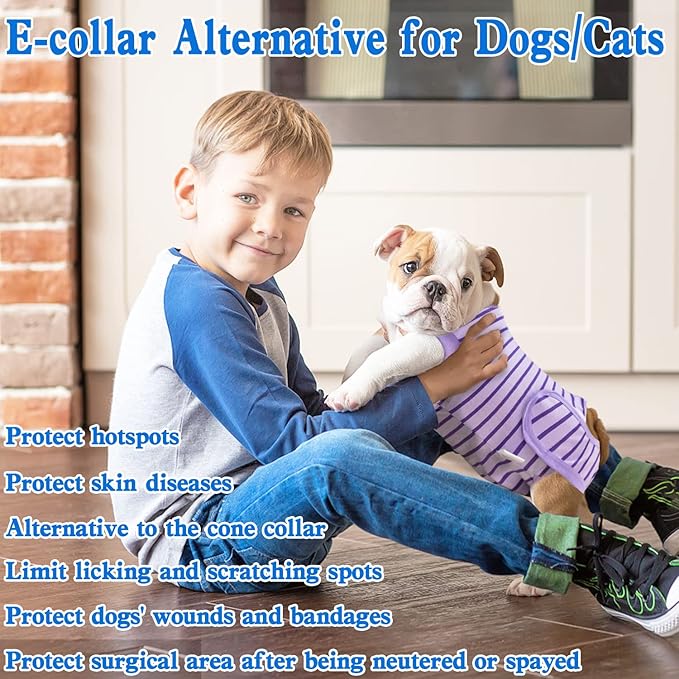 Dog Recovery Suit, Surgical Recovery Suit for Male Female Dogs Cats Spayed Onesie After Surgery, Dog Post Surgery Suit Anti Licking & Biting Surgical Shirt with Pee Hole，Purple Medium