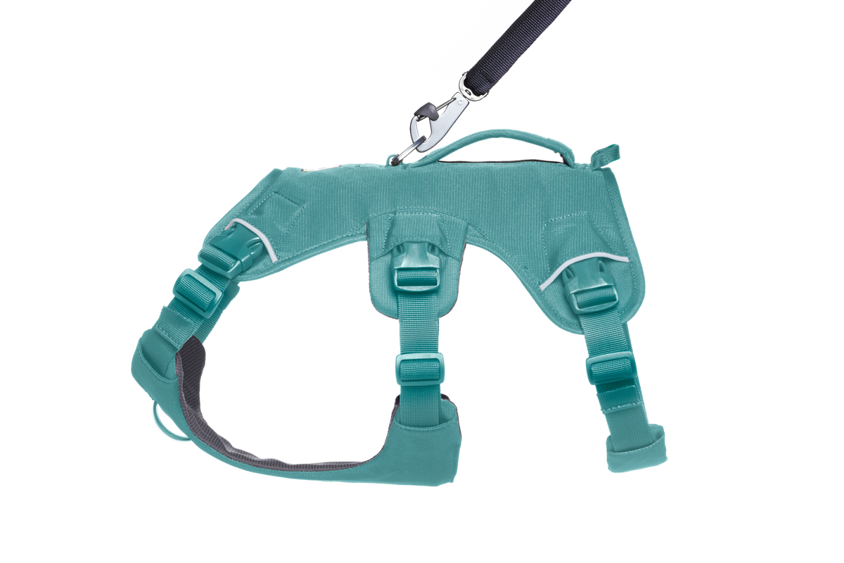 Web Master™ Dog Harness with Handle