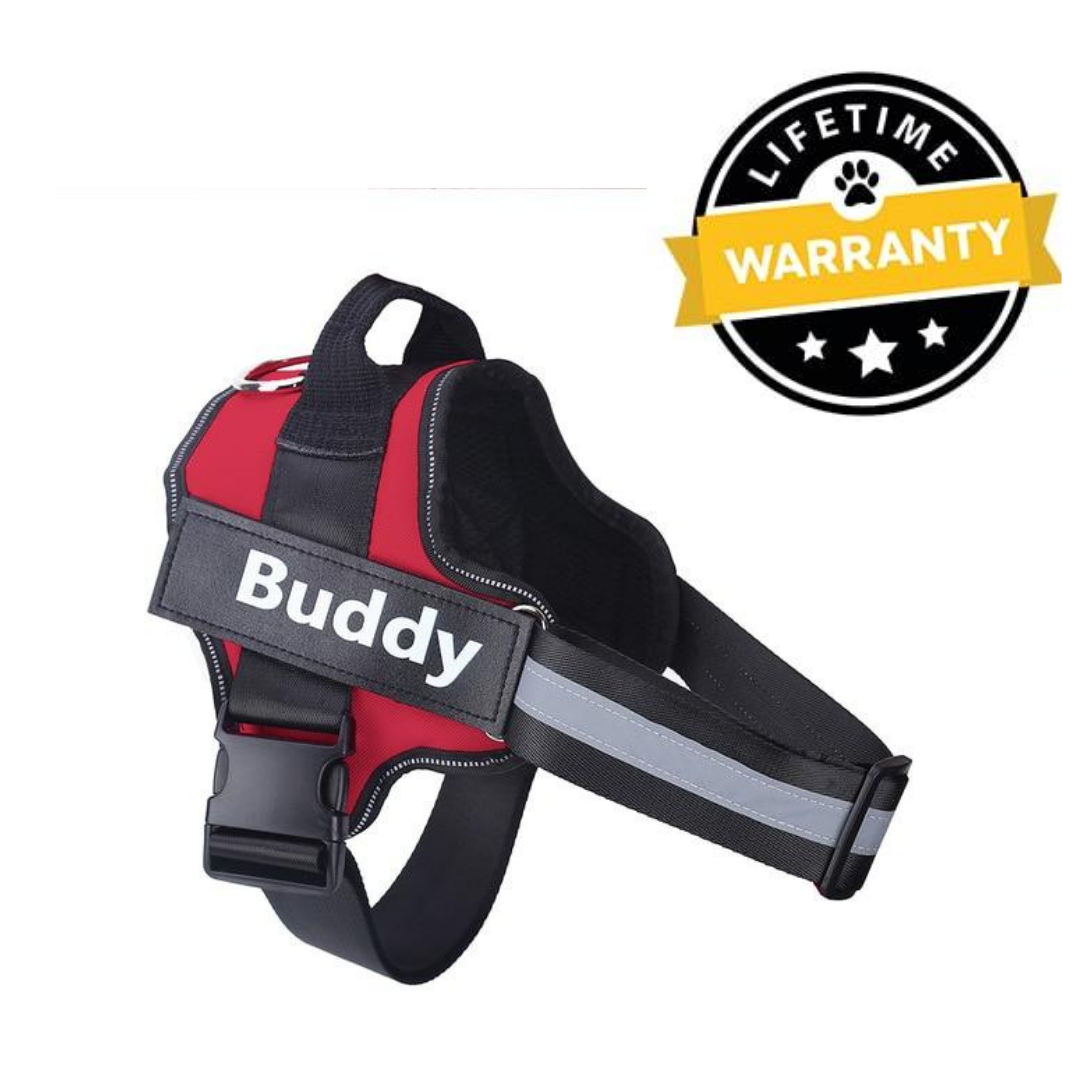 No Pull Dog Harness Australia | Easy On/Off in 2 Seconds