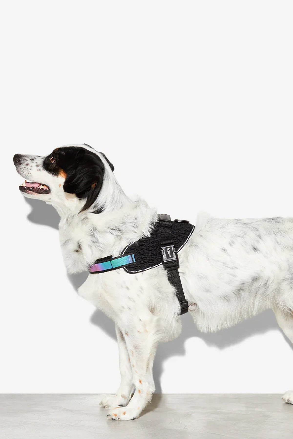 Zee.Dog Gotham Dog Fly Harness