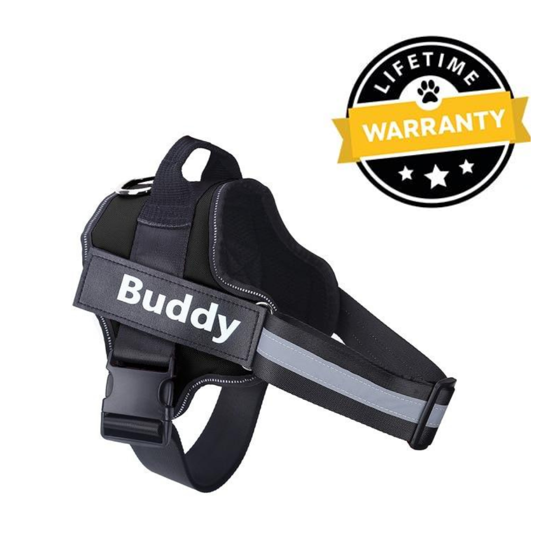 No Pull Dog Harness Australia | Easy On/Off in 2 Seconds