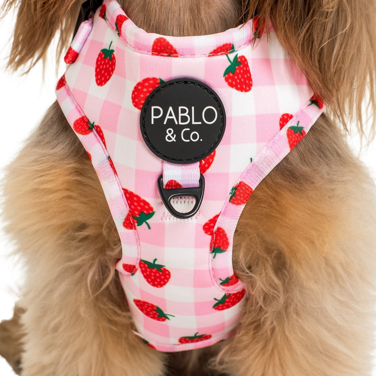 Strawberry Fields: Adjustable Harness